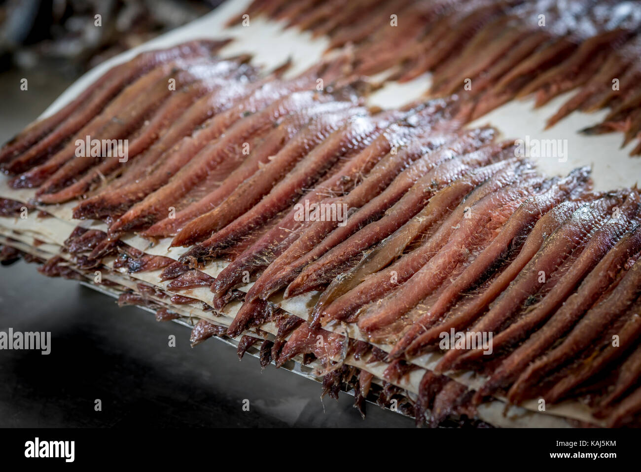 Vorbereitung und Filetieren gesalzene Sardellen am Roque Anchois Collioure Sardellen Fabrik in Frankreich Stockfoto