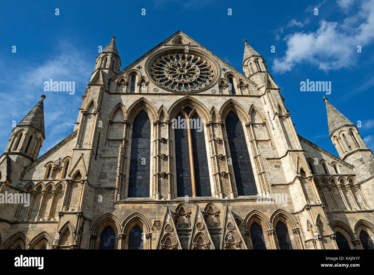 York Minster Rosette Stockfoto