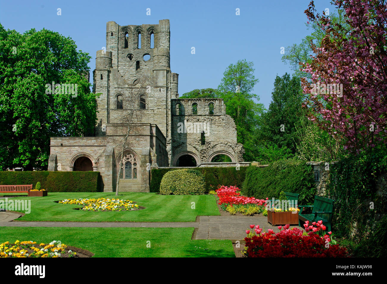 Kelso Abbey Gardens Stockfoto