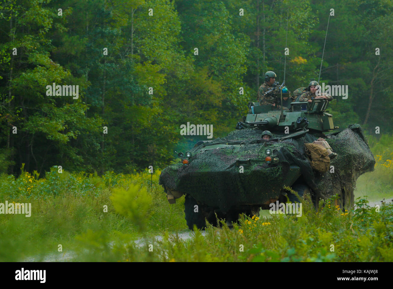 LAV-25 gepanzertes Fahrzeug Stockfoto