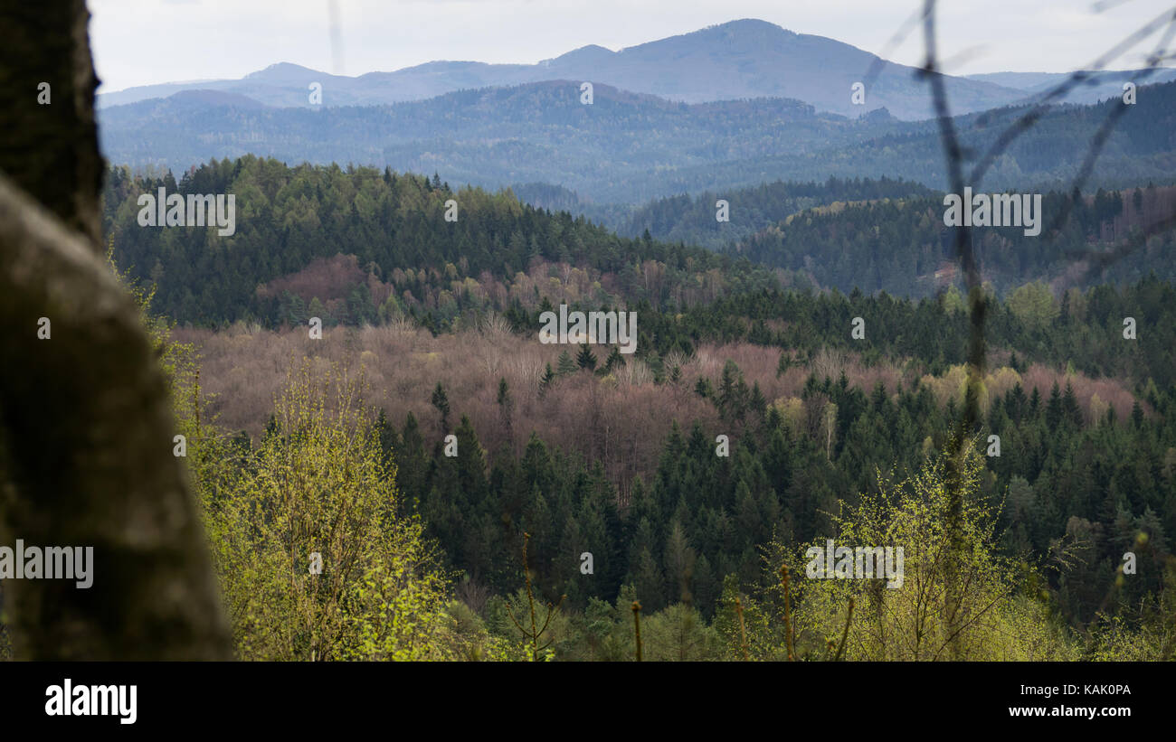 Blick über Wald mit Hügeln im Hintergrund. Aufgenommen in der Sächsischen Schweiz bei Dresden, Sachsen Deutschland. (Feder) Stockfoto