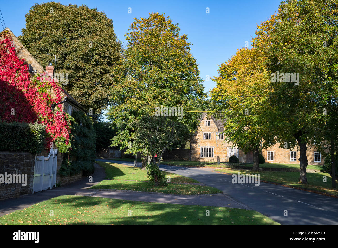 Mit Bäumen gesäumten Straße im Herbst Sonnenlicht. Deddington, Oxfordshire, England Stockfoto