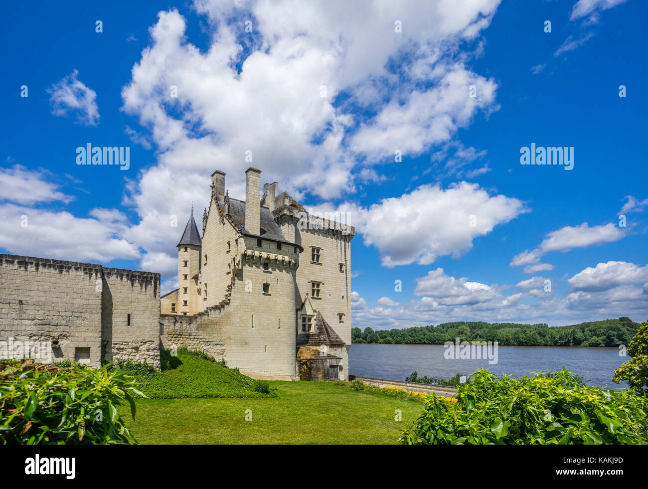 Frankreich, Pays de la Loire, Maine-et-Loire, Montsoreau, Blick auf das Renaissance Schloss Château de Saumur an der Loire Stockfoto