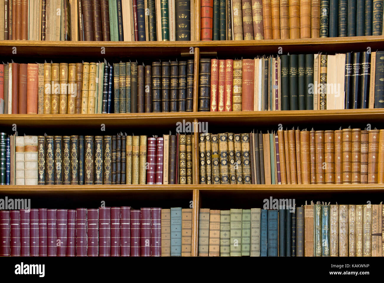 Regale in eine alte Bibliothek Stockfoto