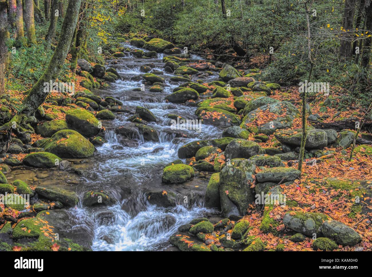 Rocky Creek in den Smoky Mountains Stockfoto