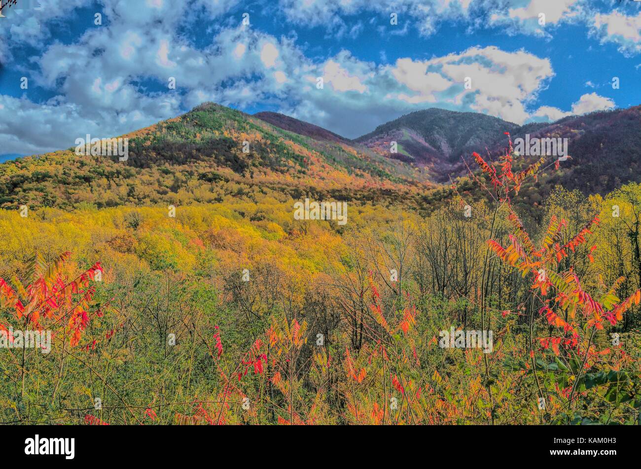 Smoky mountains Spätherbst Stockfoto