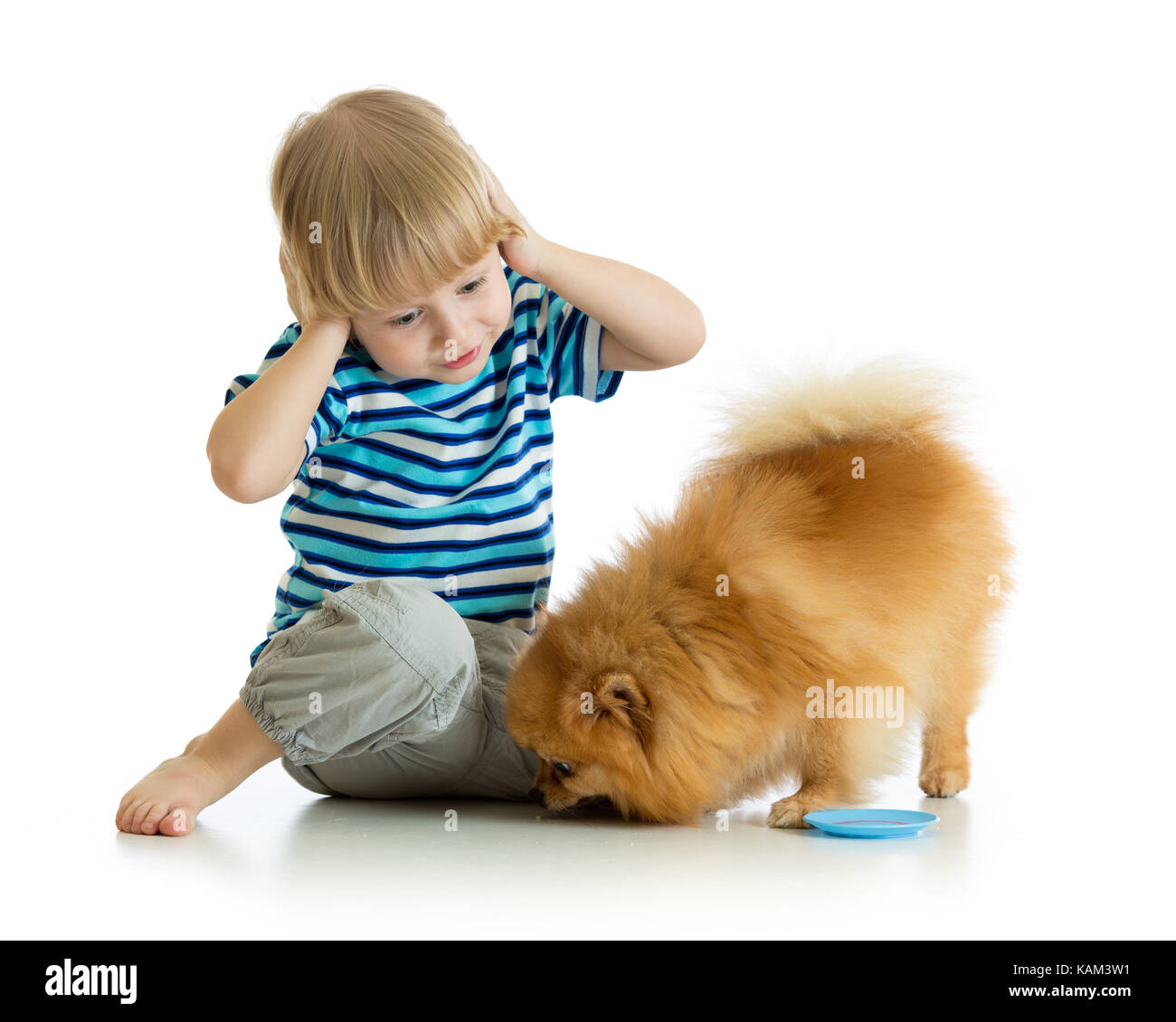 Überrascht Kind Junge mit Hund Stockfoto