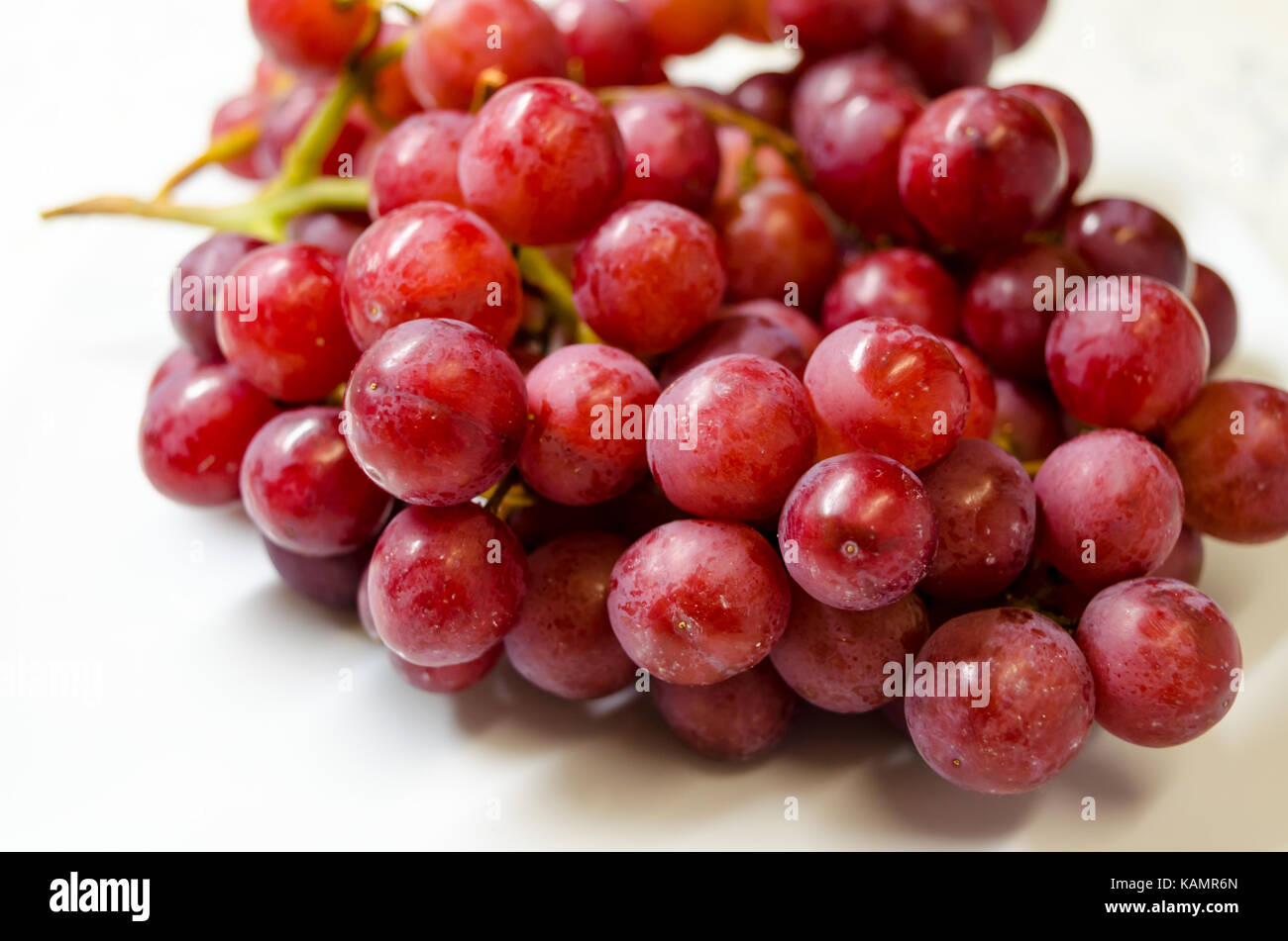 Ein Studio Foto aus einem Bündel von 'Flame' (Vitis Vinifera) Trauben Stockfoto