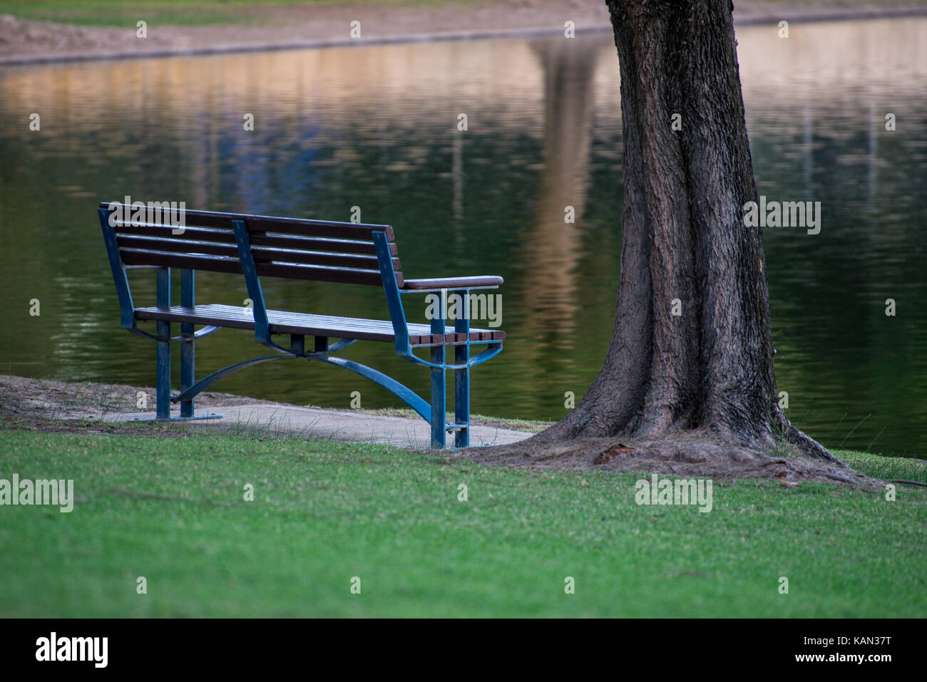 Richtbank und ein Baum neben einem Teich in Sir James McCusker Park, Iluka Stockfoto