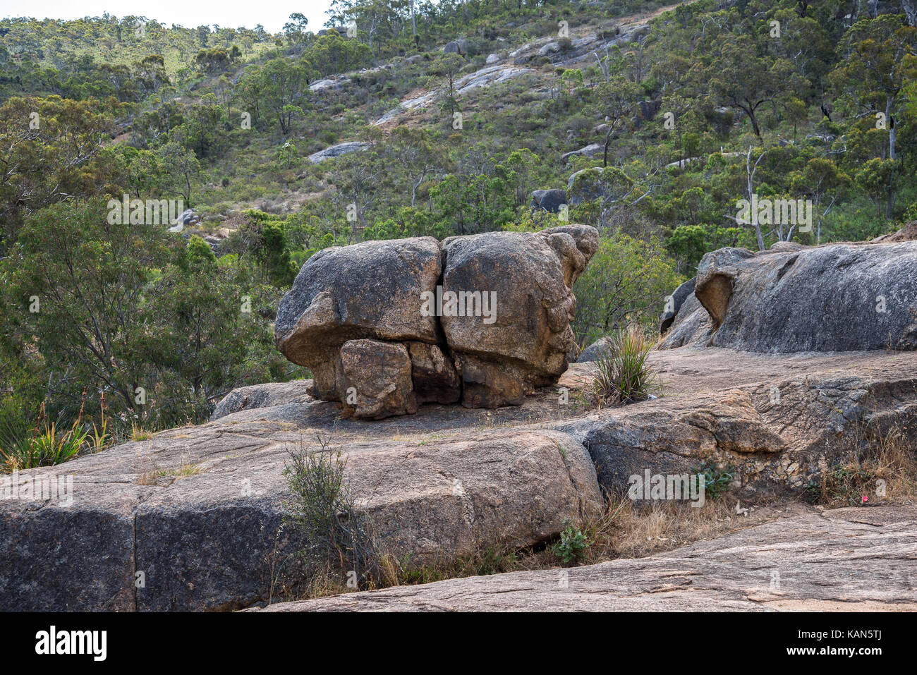 Großer Felsen im John Forrest National Park in Perth Hills Stockfoto