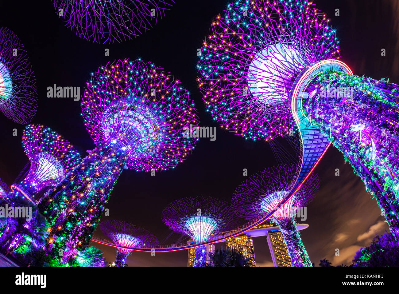 Singapur - 8. SEPTEMBER 2017: Die Supertree Grove wird lebendig in die Gärten an der Bucht in Singapur. Die nächtliche schillernden Fülle von Licht und Laser disp Stockfoto