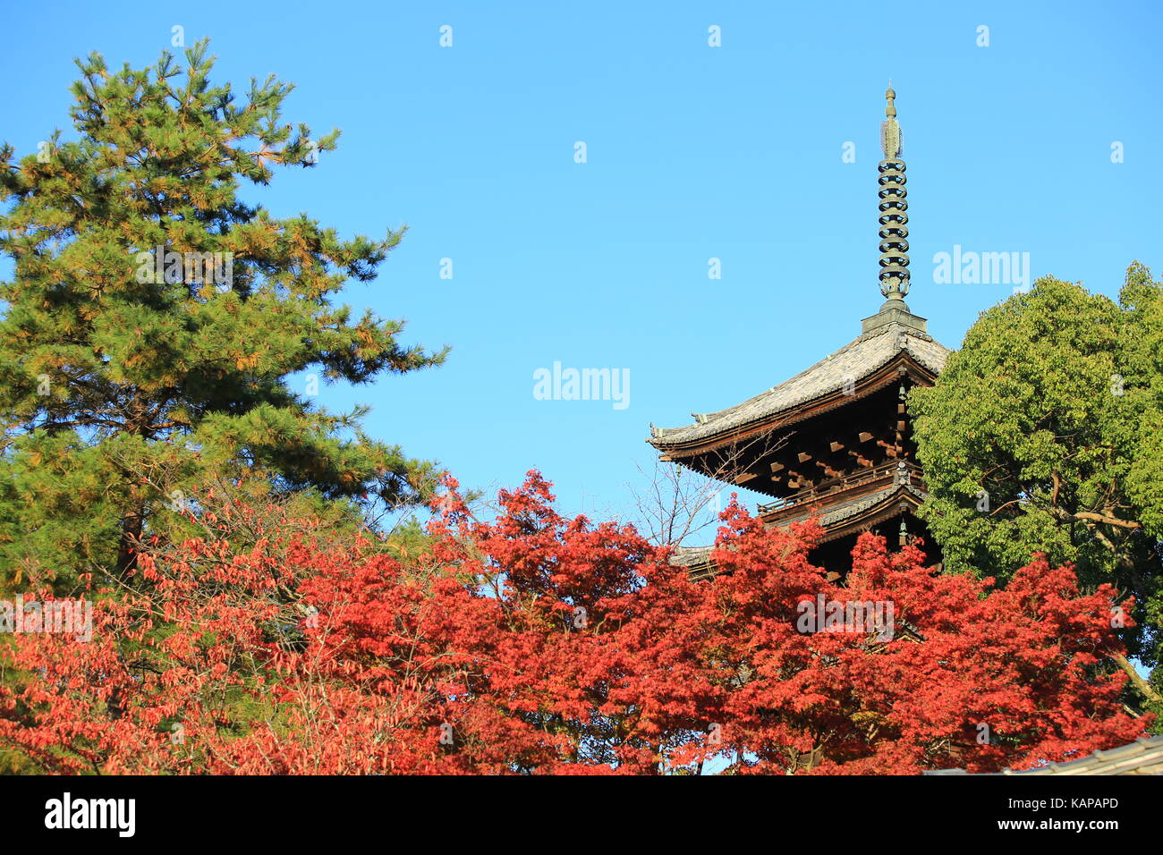 Kiyomizu-Dera Tempel Stockfoto