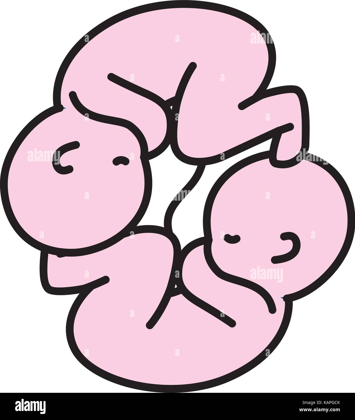 Fotus Zwillinge Stockfotos Und Bilder Kaufen Alamy