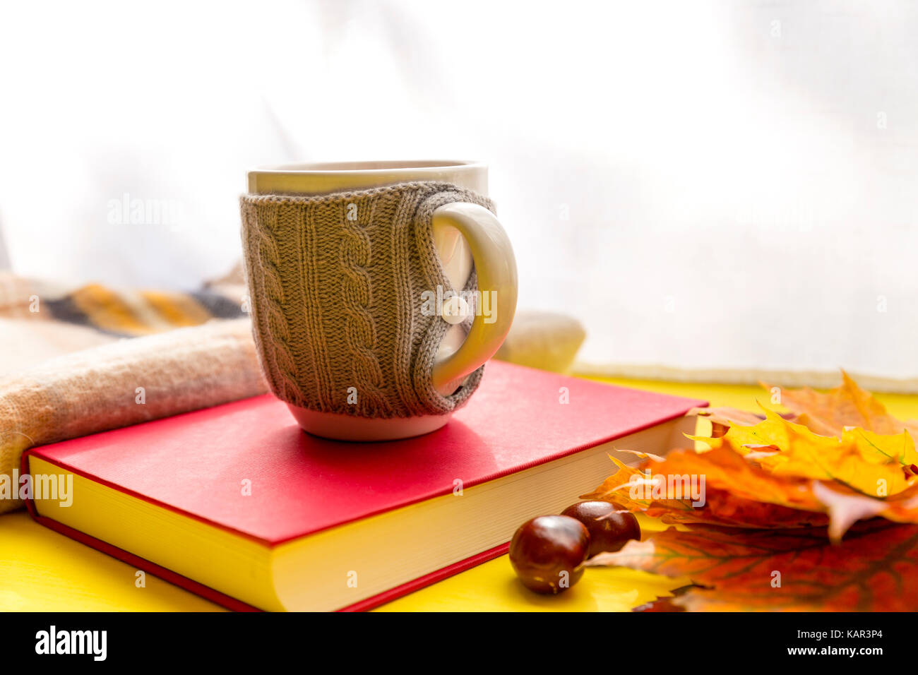 Blätter im Herbst, Buchen, Kastanien, Schal und eine Tasse heiße Schokolade. Herbst, Freizeit und Kaffeepause Konzept. Stockfoto