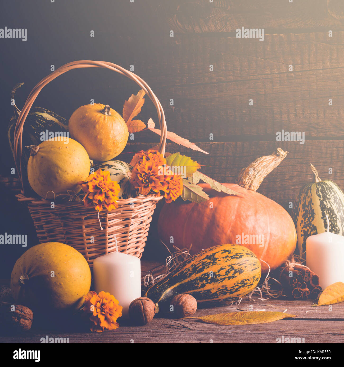 Herbst noch Leben mit Kürbissen und Laub. Thanksgiving Konzept, getönt. Stockfoto