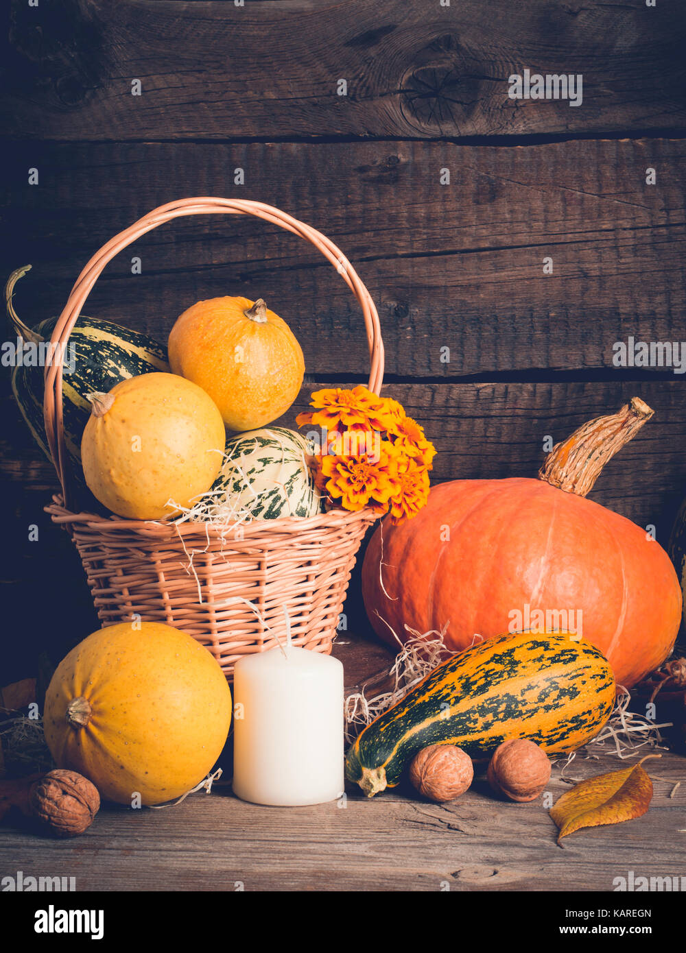 Herbst Zusammensetzung mit Kürbissen, Thanksgiving Konzept, kopieren Raum Stockfoto