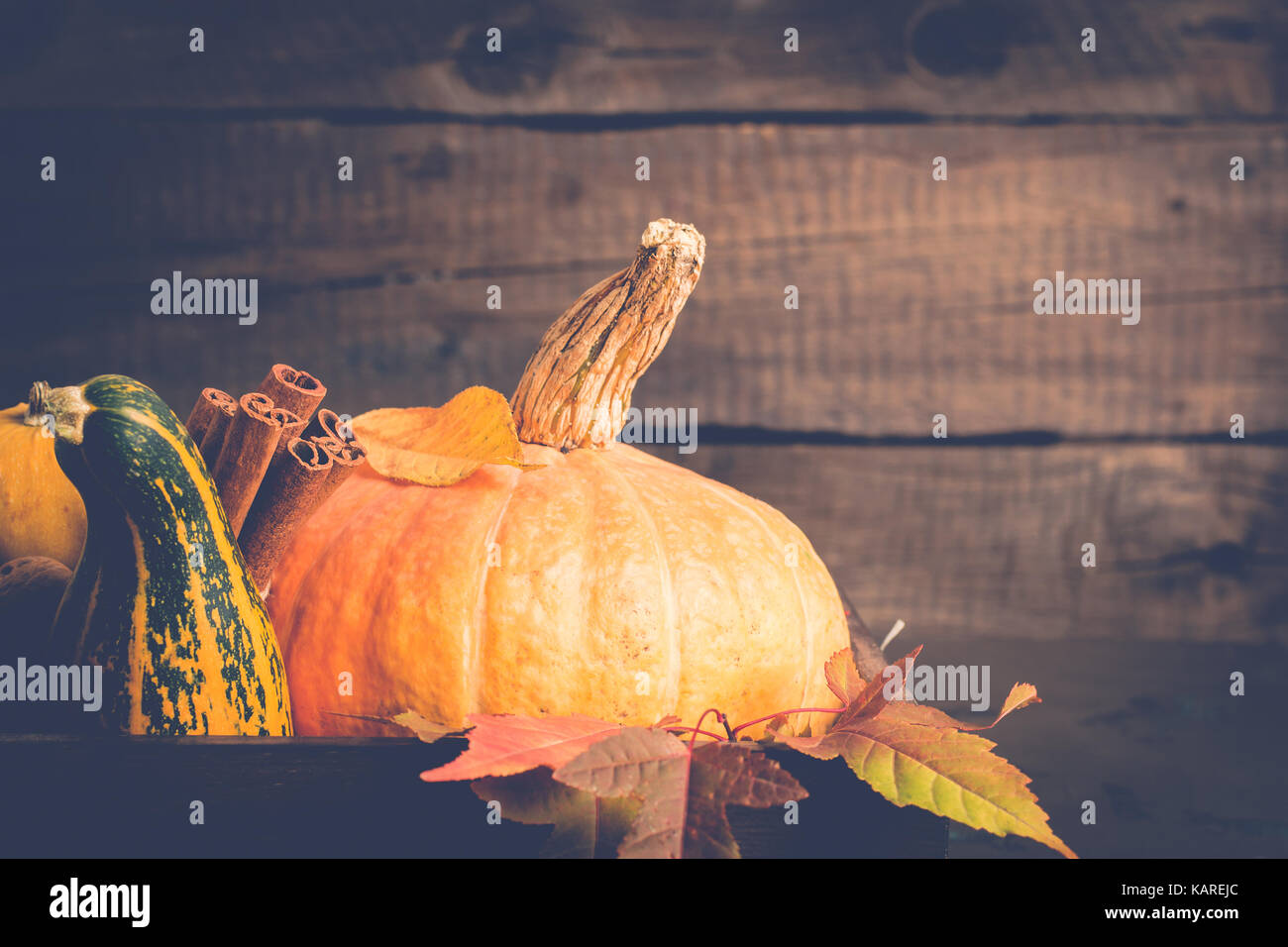 Kürbis und Zimt Nahaufnahme. Herbst Hintergrund. Thanksgiving oder Halloween Konzept Stockfoto