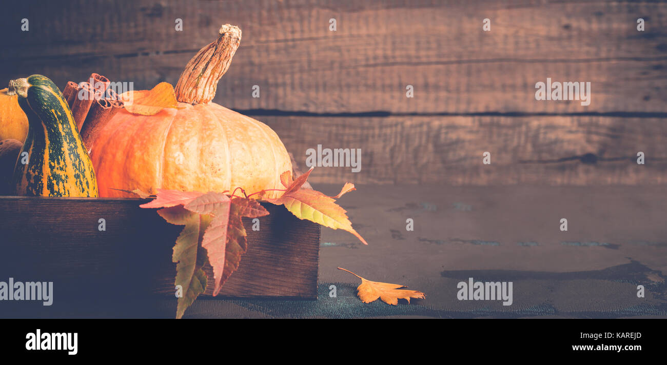 Kürbis und Zimt Nahaufnahme. Herbst Hintergrund. Thanksgiving oder Halloween Konzept Stockfoto