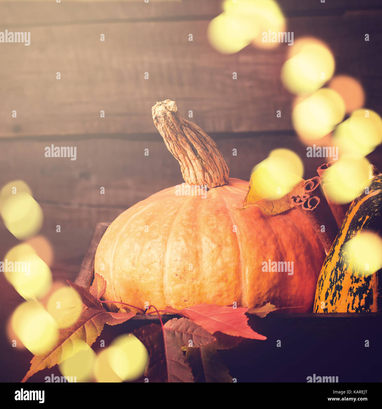 Kürbis Nahaufnahme. Herbst Bokeh lichter Hintergrund. Thanksgiving oder Halloween Konzept, kopieren. Stockfoto