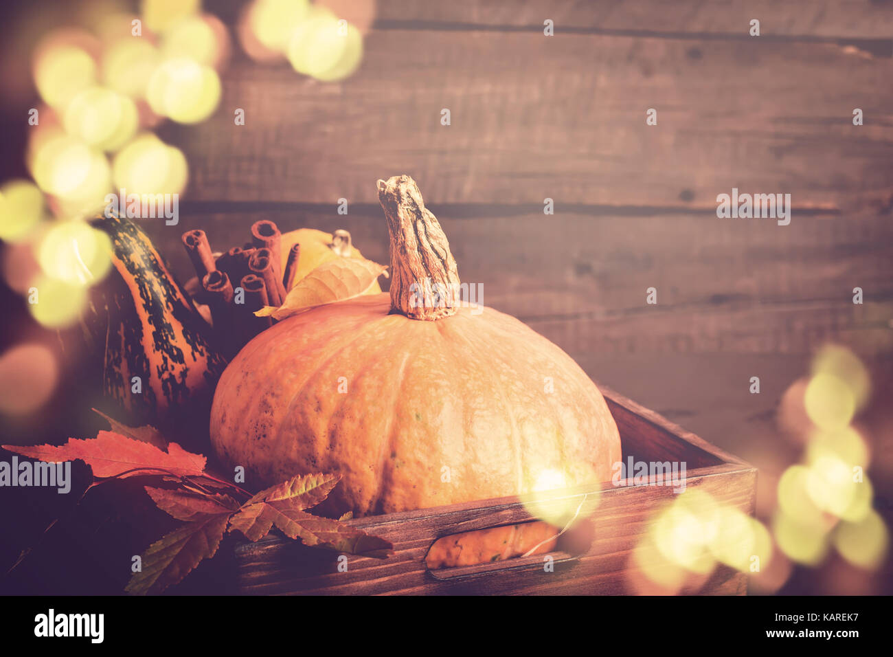 Kürbis Nahaufnahme. Herbst Bokeh lichter Hintergrund. Thanksgiving oder Halloween Konzept, kopieren. Stockfoto