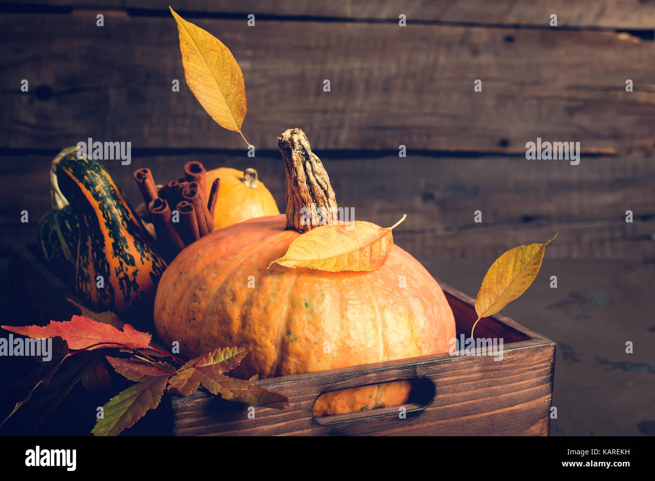 Kürbis und fallende Blätter. Herbst, Thanksgiving oder Halloween Konzept, kopieren. Stockfoto