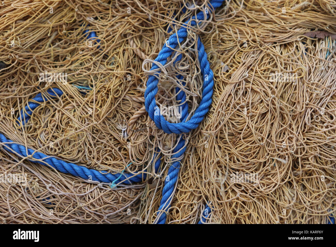 Fischernetz in Sri Lanka - Fischmarkt am Hafen von Negombo Stockfoto