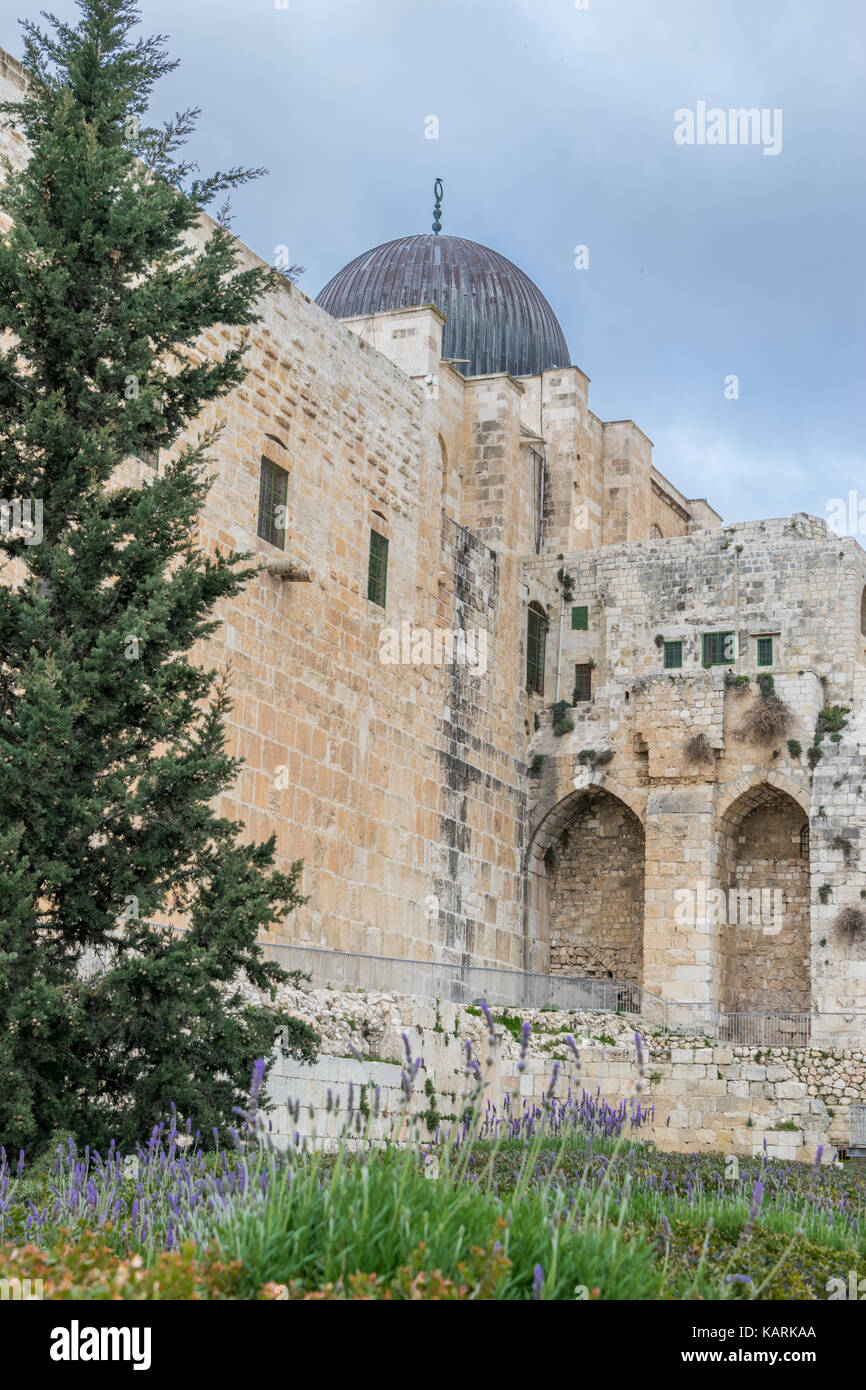 Tempel von Jerusalem mit Gras Stockfoto