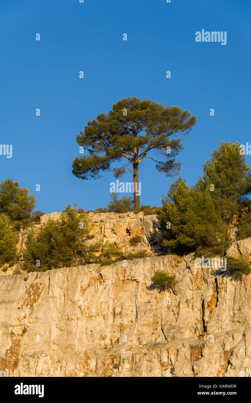 CASSIS, LES CALANQUES, BDR FRANKREICH 13 Stockfoto