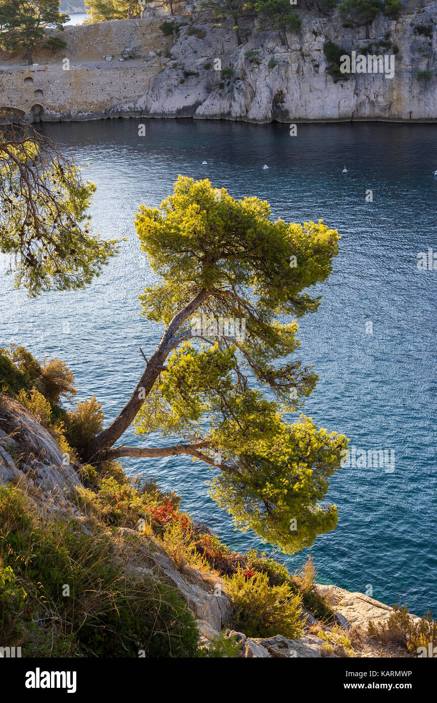 CASSIS, LES CALANQUES, BDR FRANKREICH 13 Stockfoto