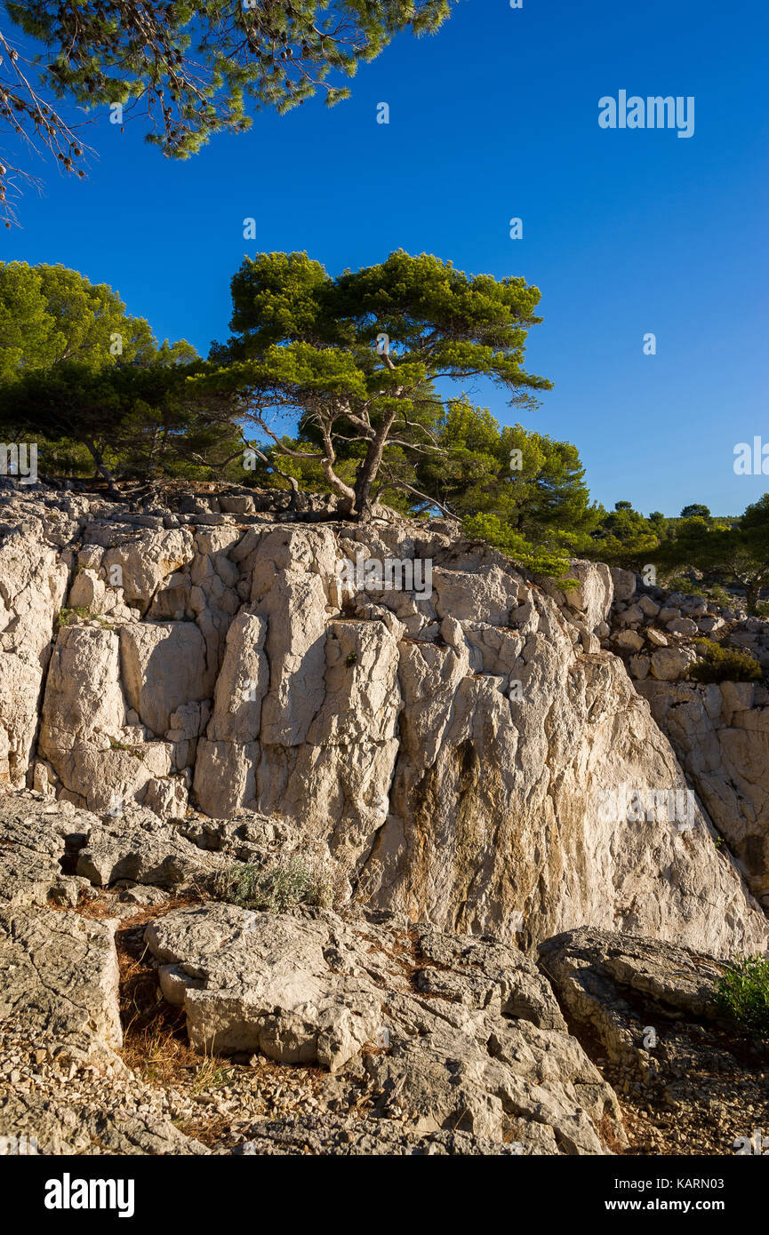 CASSIS, LES CALANQUES, BDR FRANKREICH 13 Stockfoto