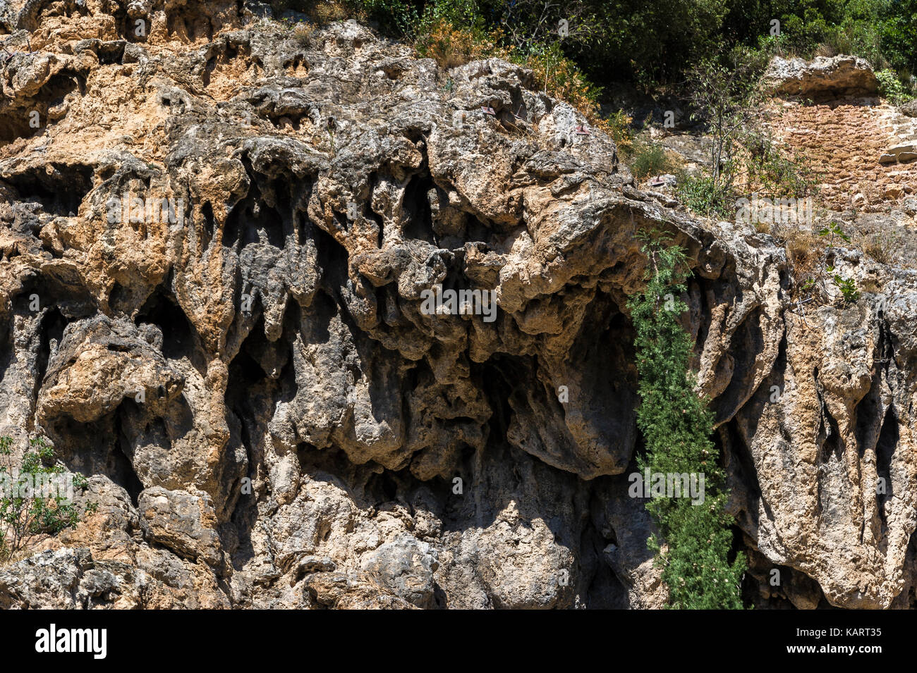 COTIGNAC, PROVENCE VERTE, VAR 83, PACA FRANKREICH Stockfoto