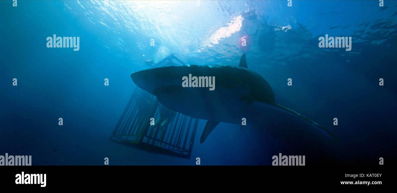 47 METER NACH UNTEN (2017) JOHANNES ROBERTS (DIR) DIMENSION FILMS/MOVIESTORE COLLECTION LTD. Stockfoto