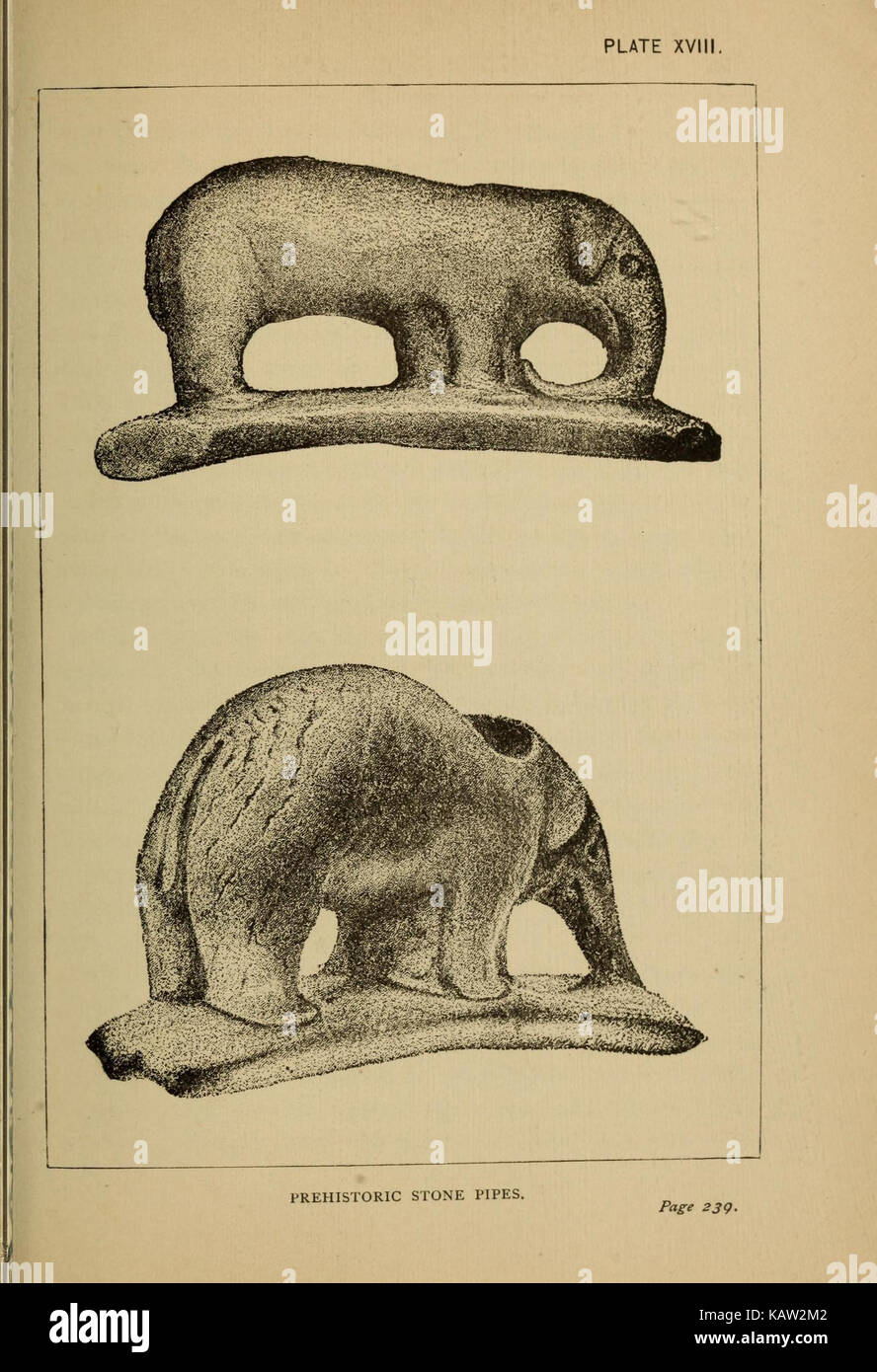 Das Elfenbein König (Platte XVIII) (7583954360) Stockfoto