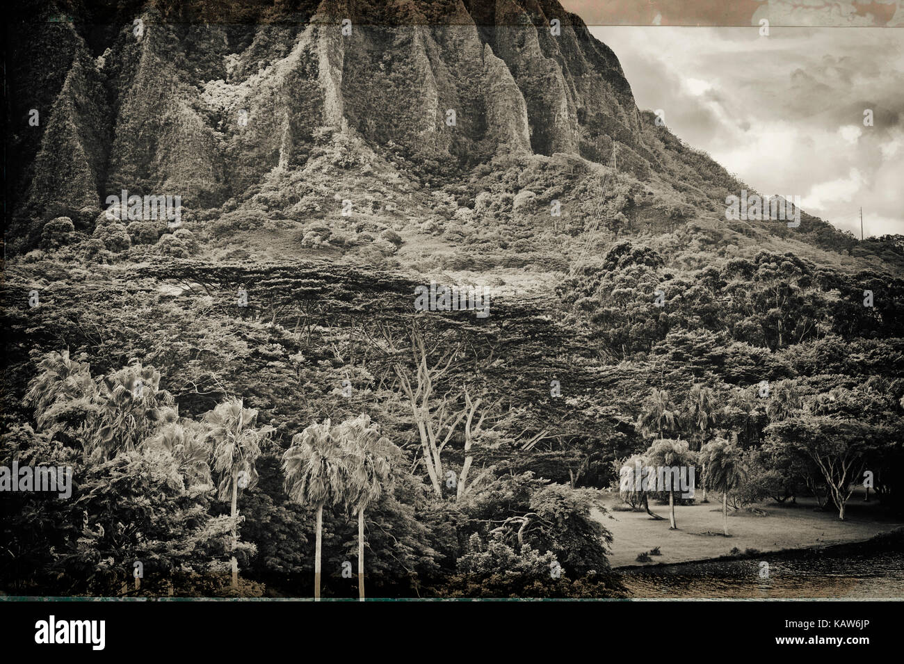 Ho'omaluhia Botanical Grdens auf der Insel Oahu, Hawaii Stockfoto