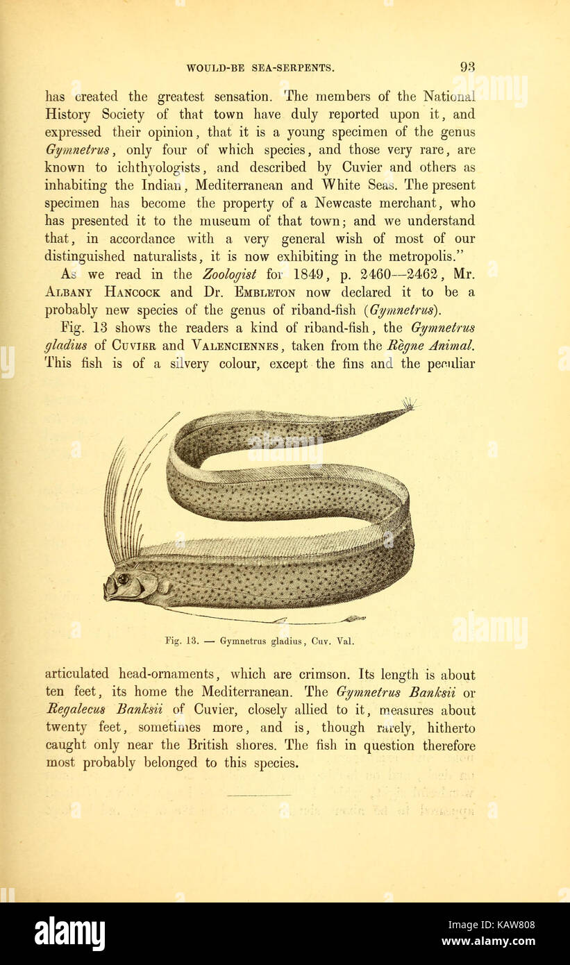 Diese Illustration aus der „Großen Seeschlange“ zeigt die legendäre Kreatur und zeigt die fantastische Natur der Meeresmythologie und ihre Darstellung in Wissenschaft und Folklore des 19. Jahrhunderts. Stockfoto