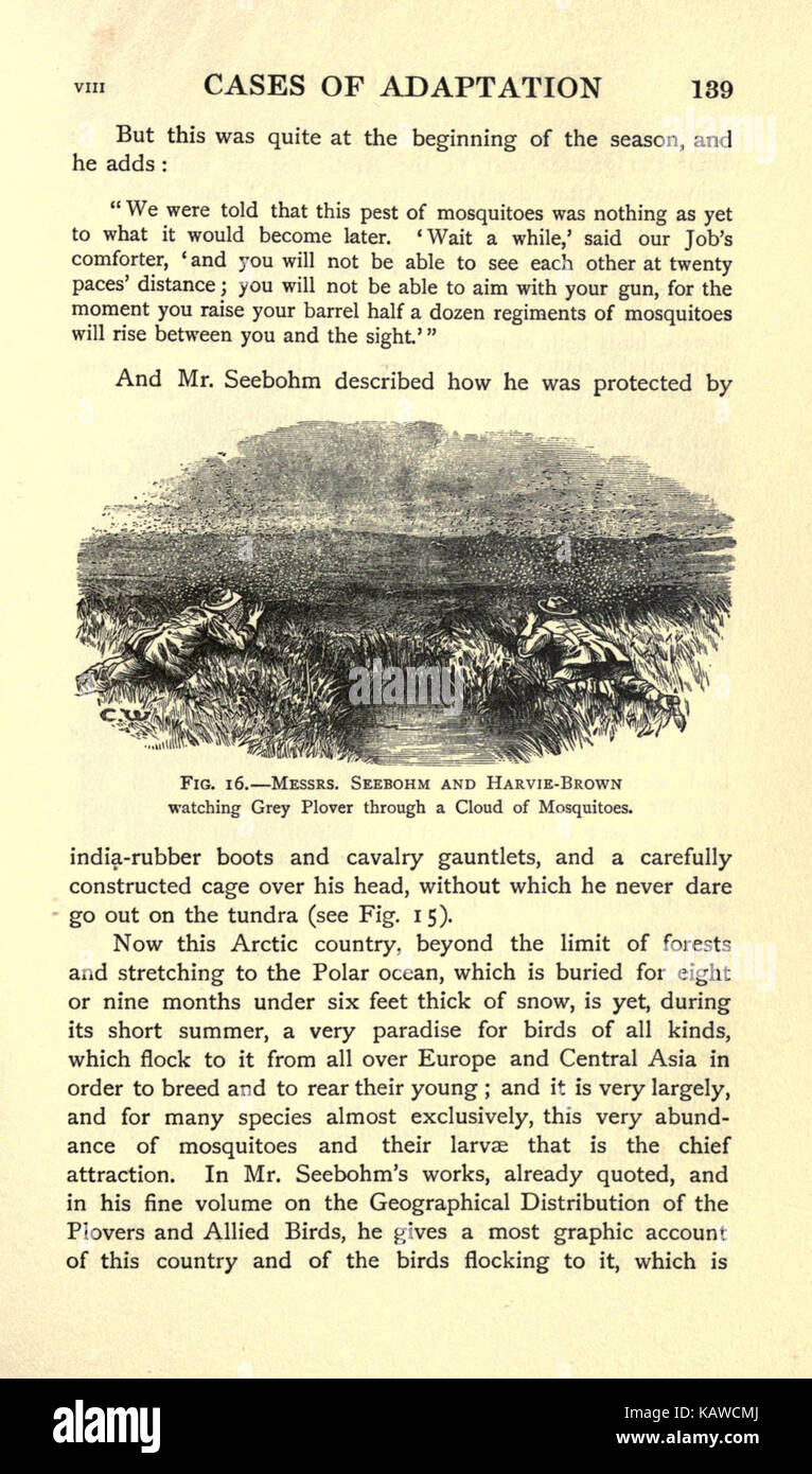 Die Welt des Lebens (Seite 139) BHL 21737495 Stockfoto