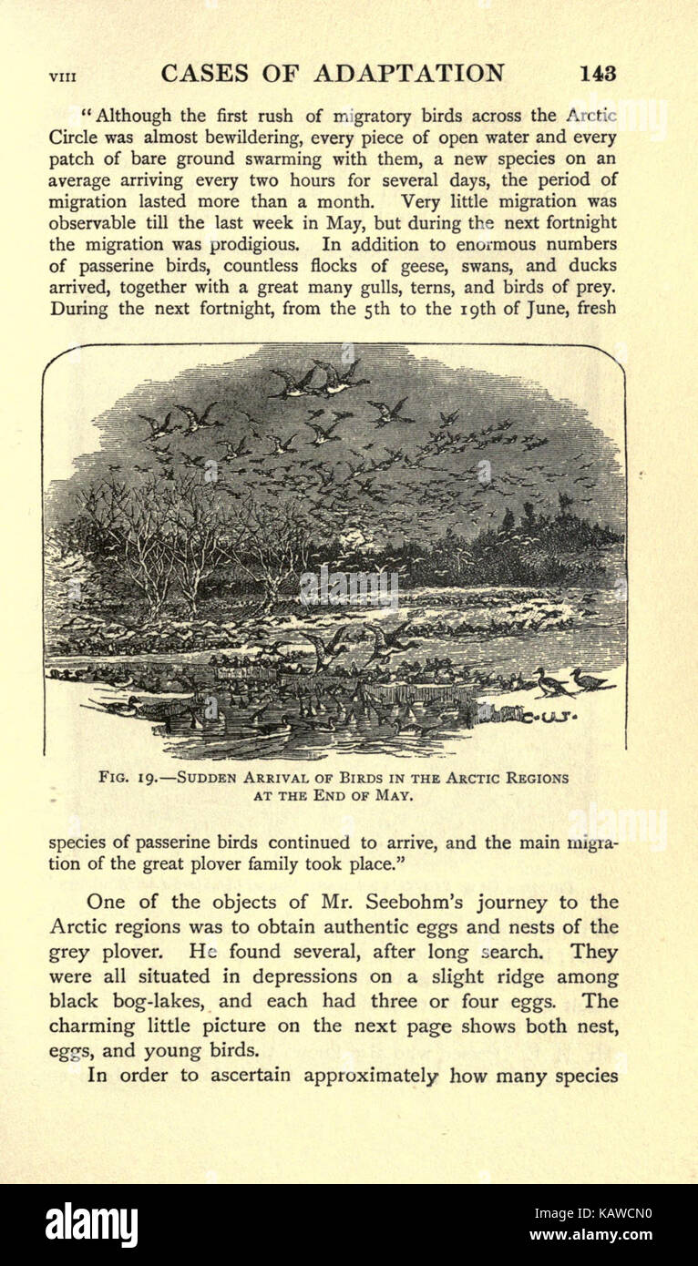 Die Welt des Lebens (Seite 143) BHL 21737499 Stockfoto