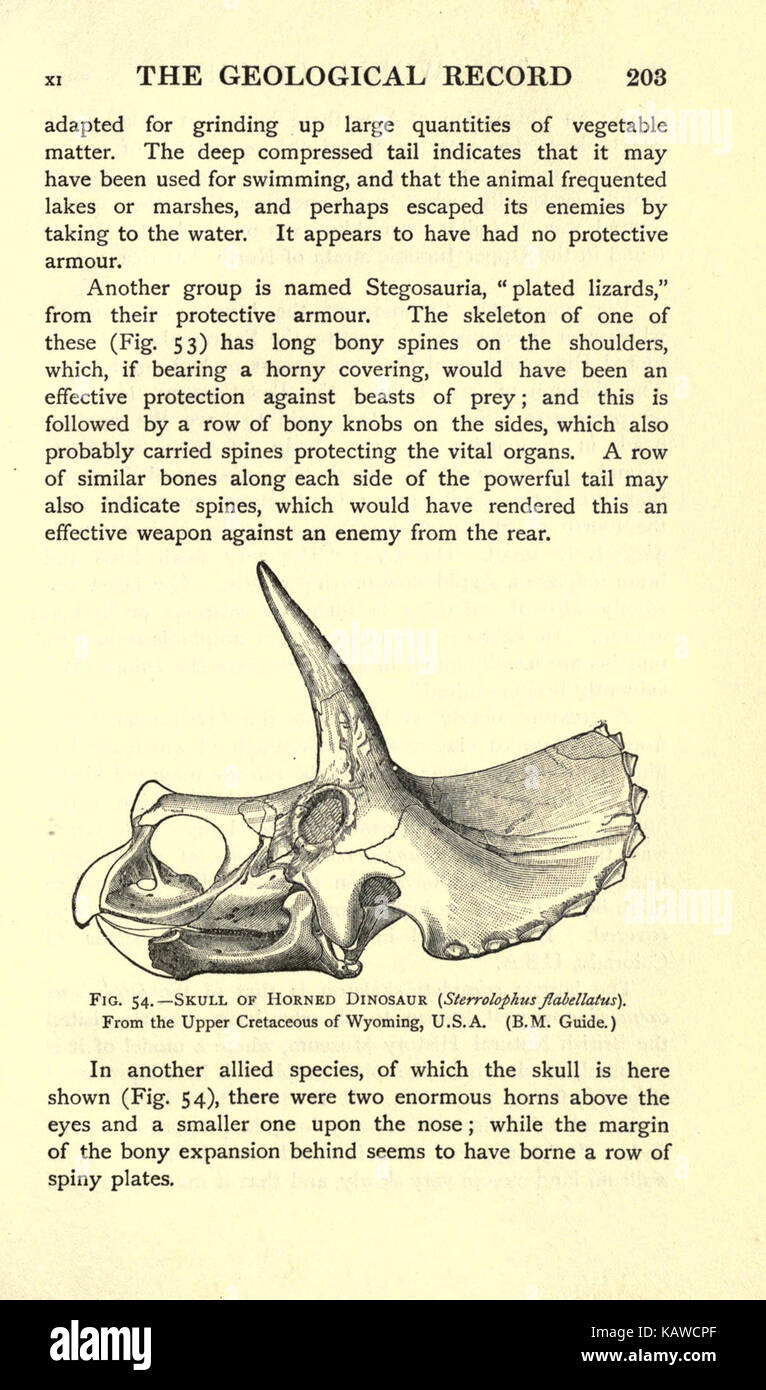 Die Welt des Lebens (Seite 203) BHL 21737573 Stockfoto