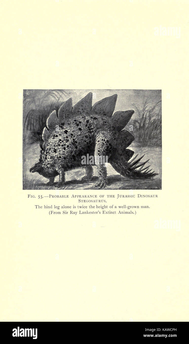 Die Welt des Lebens BHL 21737576 Stockfoto