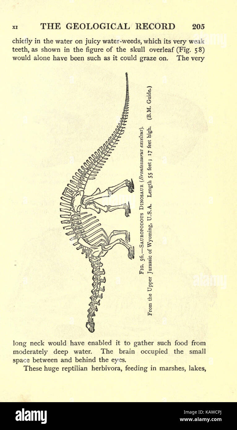 Seite 205 von "die Welt des Lebens", ein Werk, das die biologischen Wissenschaften erforscht, insbesondere die Erforschung lebender Organismen. Auf dieser Seite werden wahrscheinlich Schlüsselkonzepte in der Biologie und der Natur behandelt. Stockfoto
