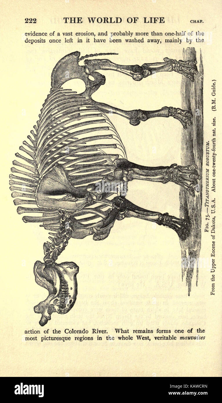 Die Welt des Lebens (Seite 222) BHL 21737602 Stockfoto