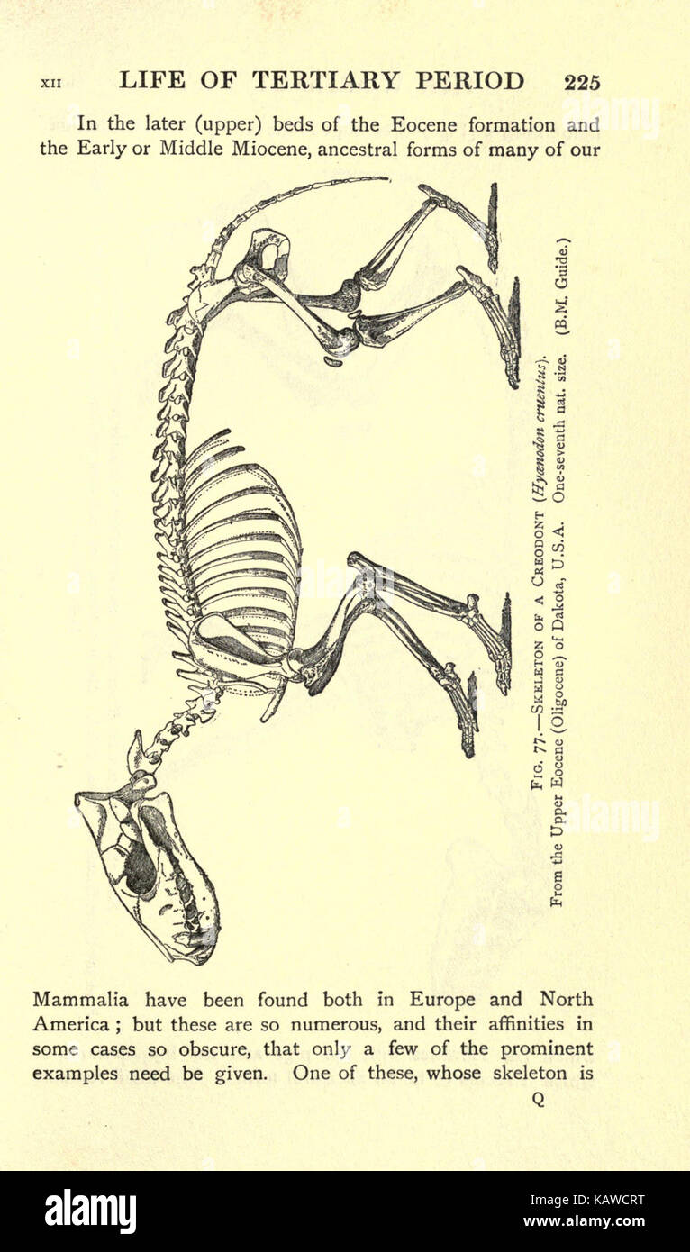 Diese Seite aus dem Buch „die Welt des Lebens“ stellt eine Erforschung der Naturwissenschaften und biologischen Konzepte vor und bietet Einblick in Lebensprozesse und die lebende Welt. Stockfoto