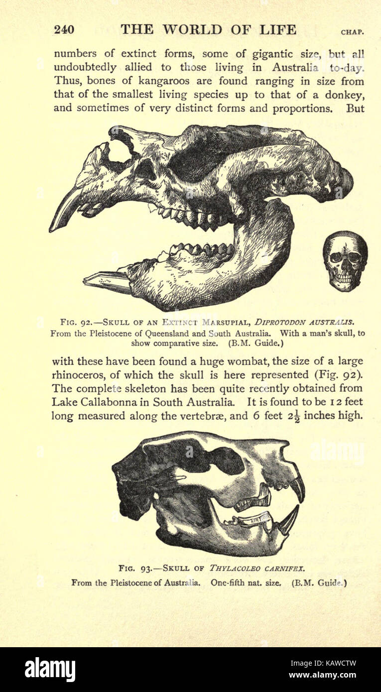 Die Welt des Lebens (Seite 240) BHL 21737626 Stockfoto