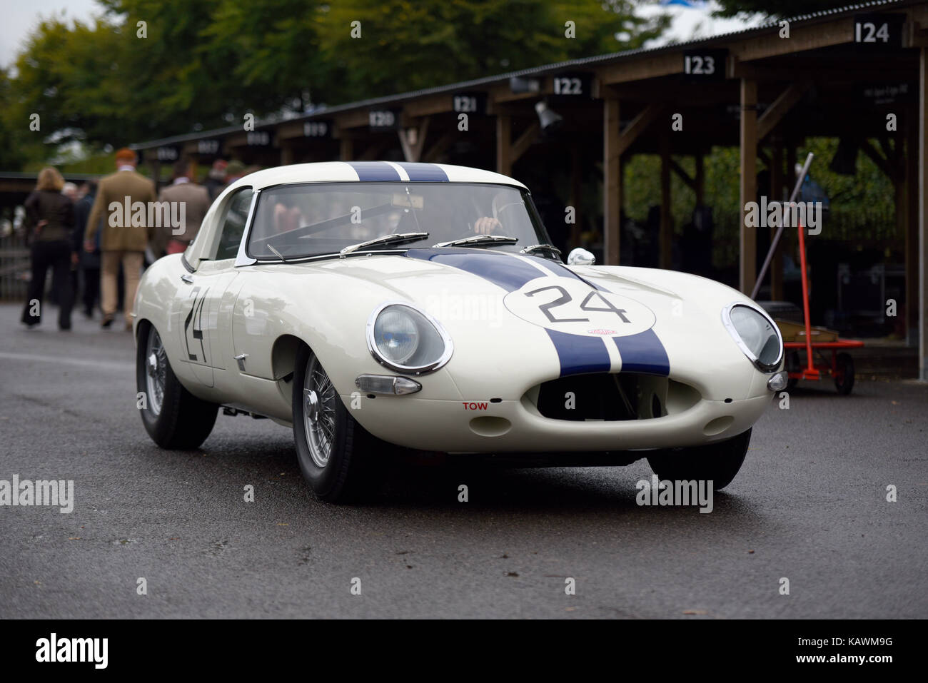 Jaguar E-Type im Besitz von Gregor Fiskan im Fahrerlager bei Goodwood Revival 2017 Stockfoto
