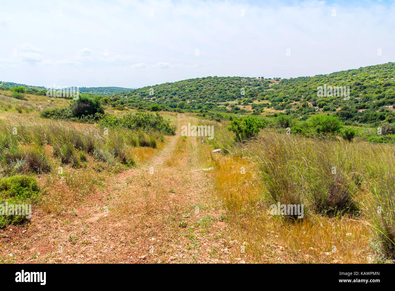 Blick auf biblische Landschaft, Judäischen Hügeln in der Nähe von Beit Shemesh. Israel Stockfoto