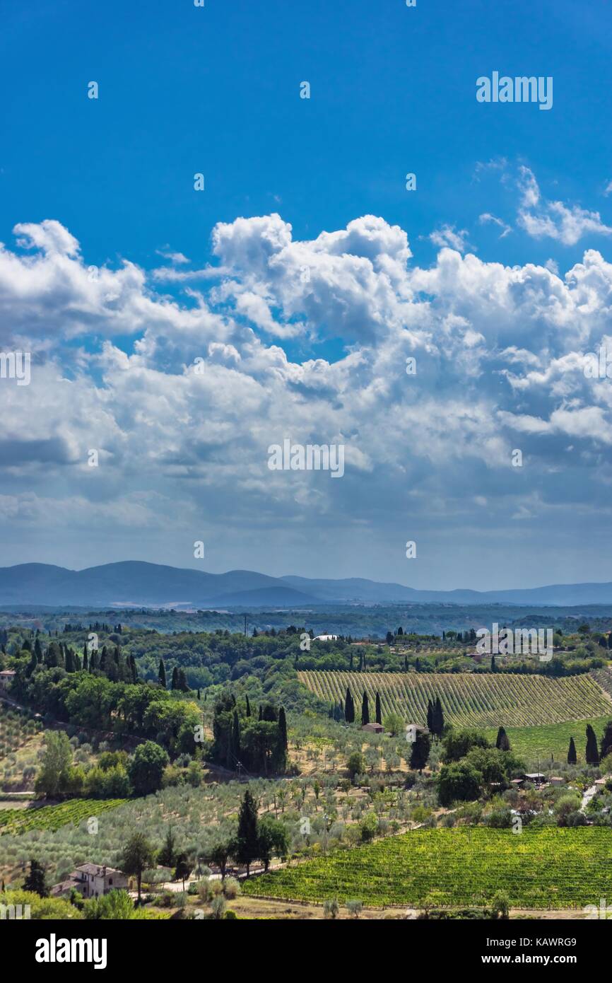 Vertikale Foto mit Blick in die Toskana in Italien. die Hügel und Felsen sind von Olivenbäumen, nur wenige Gebäude, Kiefern und anderen Pflanzen typisch Stockfoto