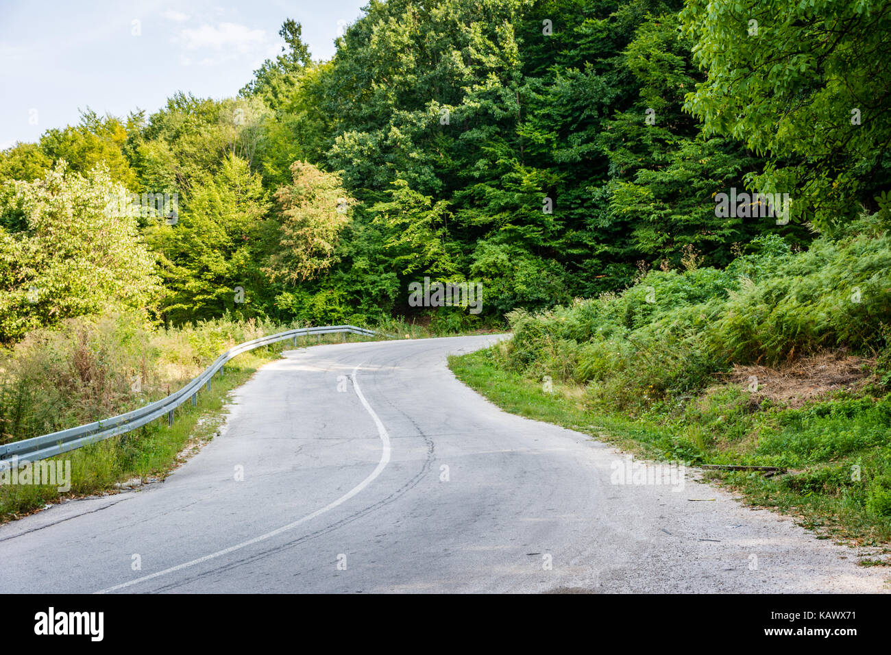 Straße durch den Wald den Berg hinauf Stockfoto