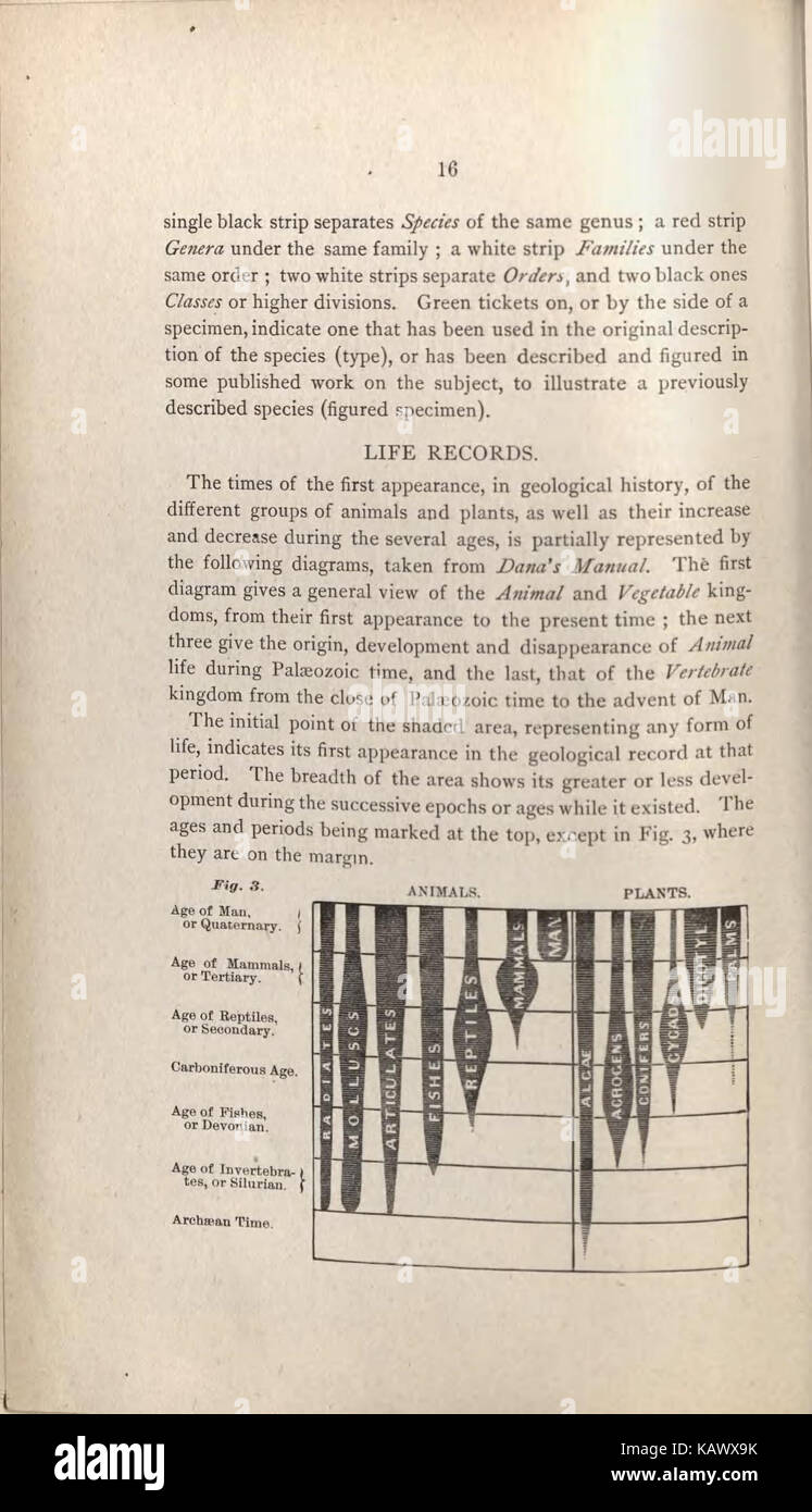 Besucher "Leitfaden zu den geologischen und paläontologischen Sammlungen in das Amerikanische Museum der Naturgeschichte, 70 Seventh Street und 8. Avenue, New York City (Seite 16) BHL 47135443 Stockfoto