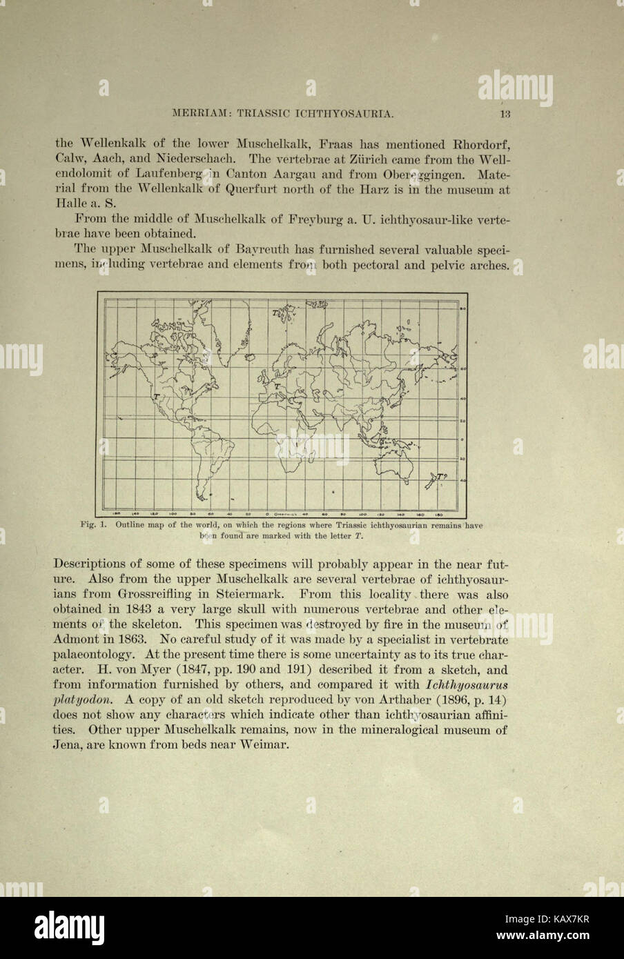 Trias Ichthyosauria (Seite 13) BHL 18292914 Stockfoto