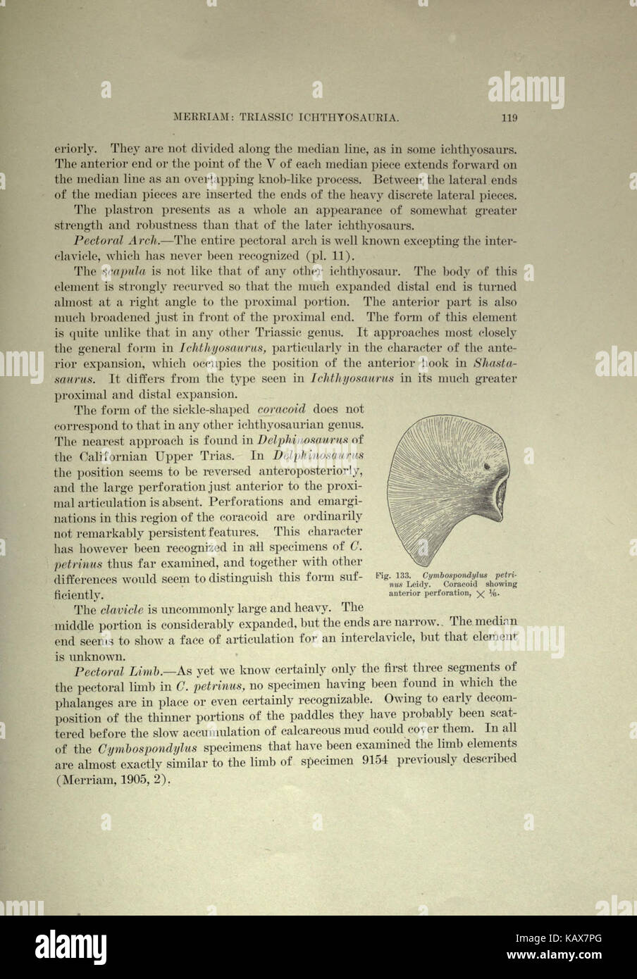 Trias Ichthyosauria (Seite 119) BHL 18293039 Stockfoto